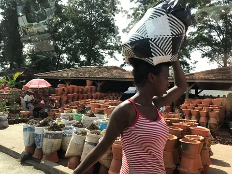 Local Customs and Practices
